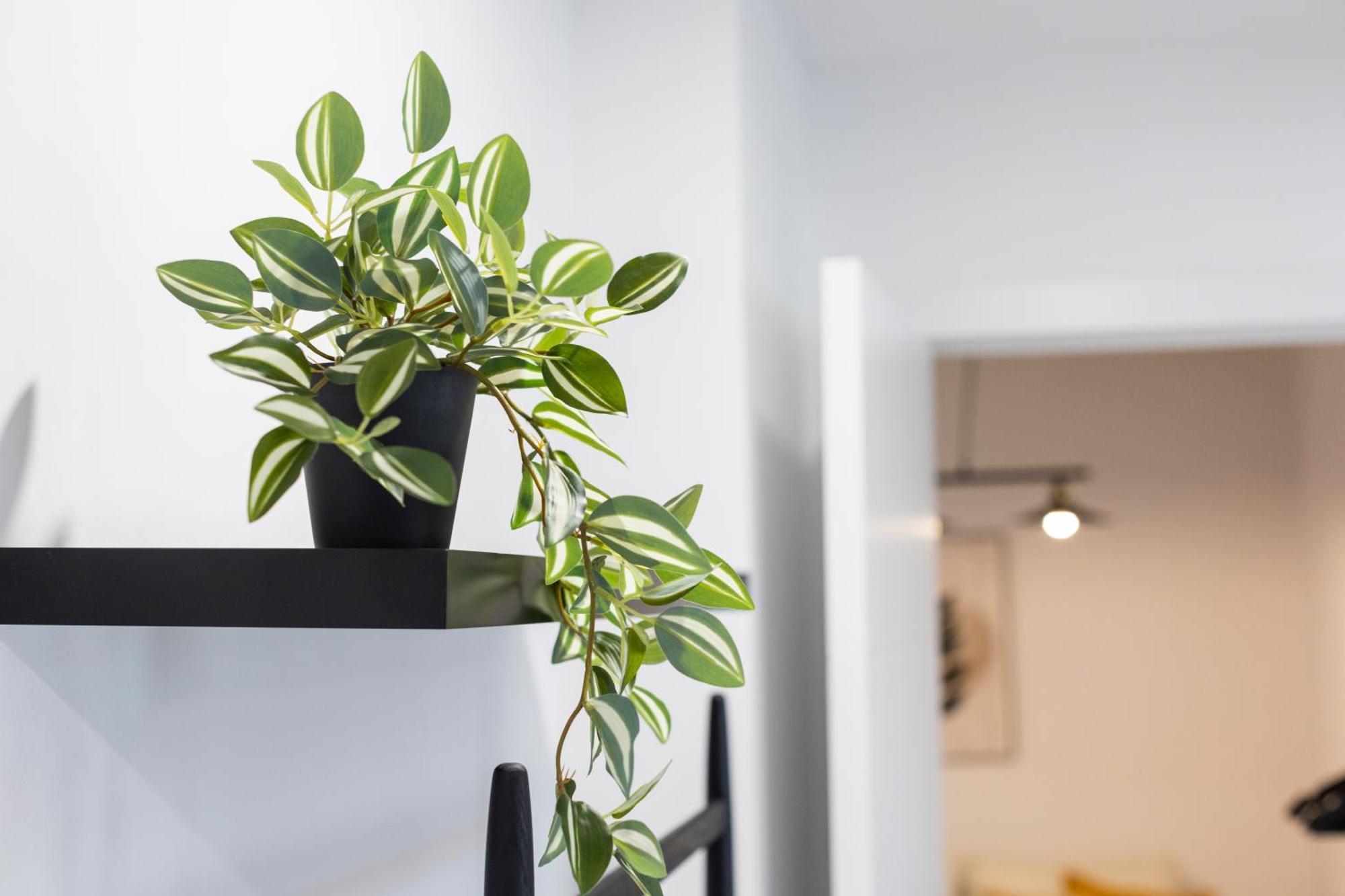 Apartamentos Gurugu Ribadeo Eksteriør billede